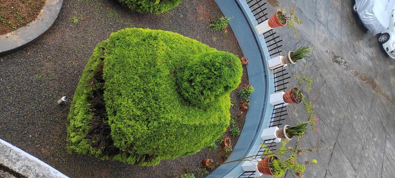 Pepper Valley Resort Kalpatta Ngoại thất bức ảnh
