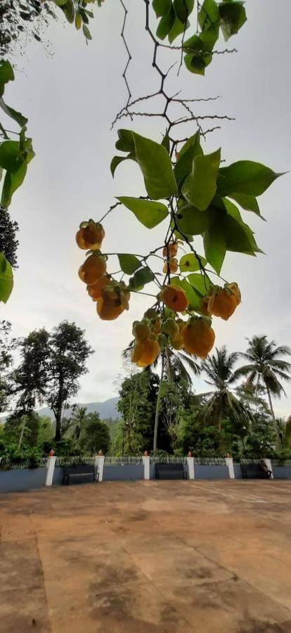 Pepper Valley Resort Kalpatta Ngoại thất bức ảnh