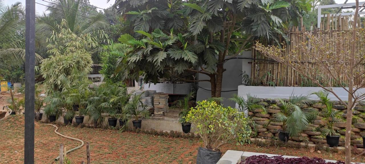 Pepper Valley Resort Kalpatta Ngoại thất bức ảnh